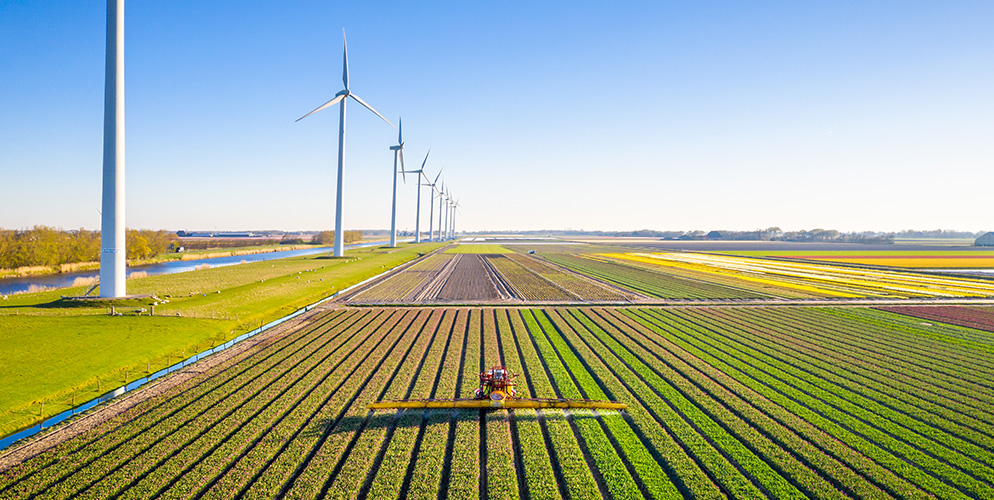 sustainability